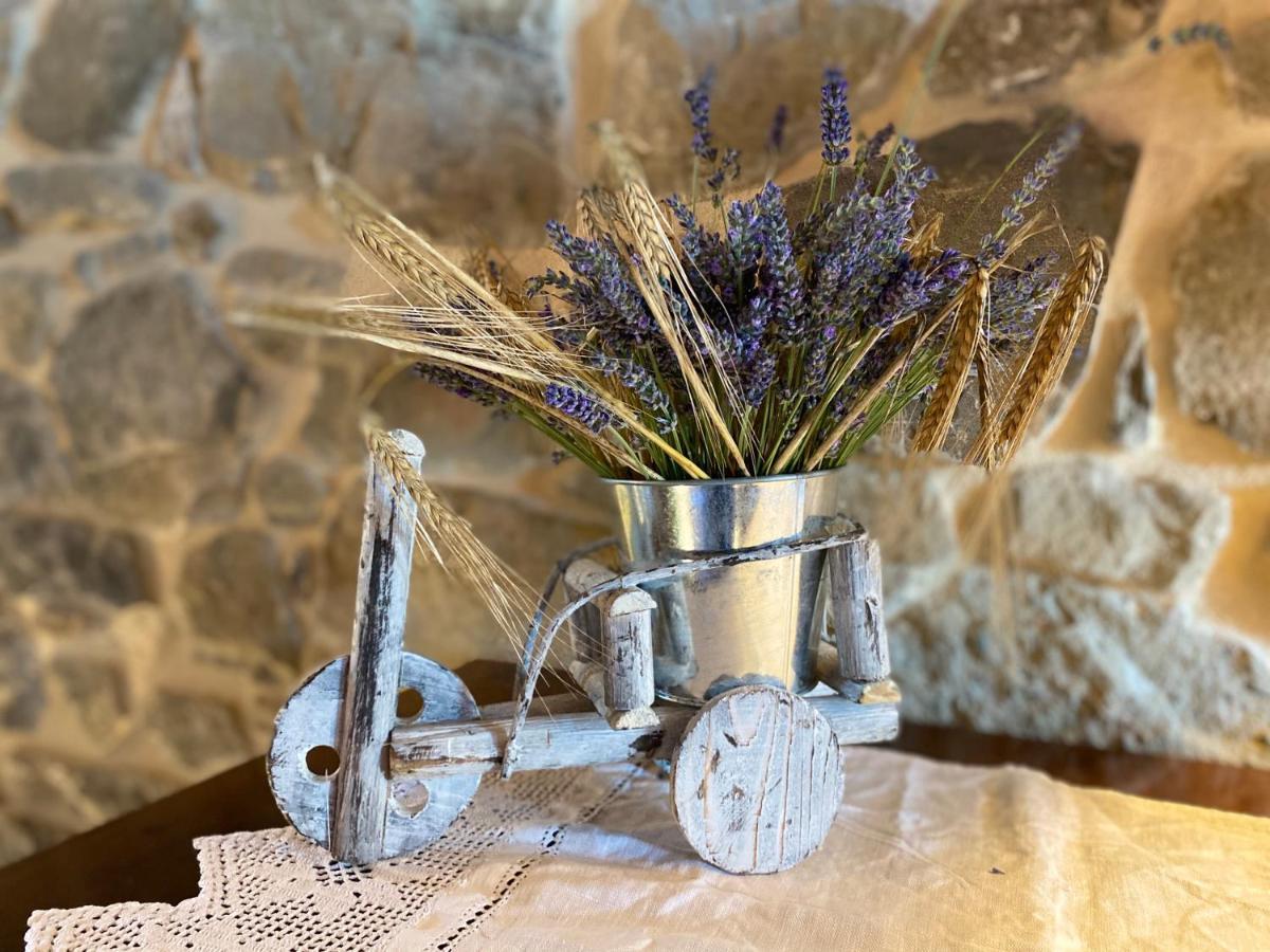 L'Oca Giuliva Relais Bed & Breakfast Gaggio Montano ภายนอก รูปภาพ